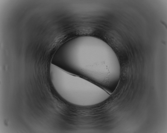 X0000093430743200710120917