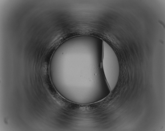 X0000093430744200710120917