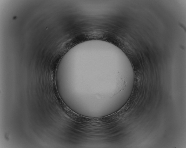 X0000093430745200710120917