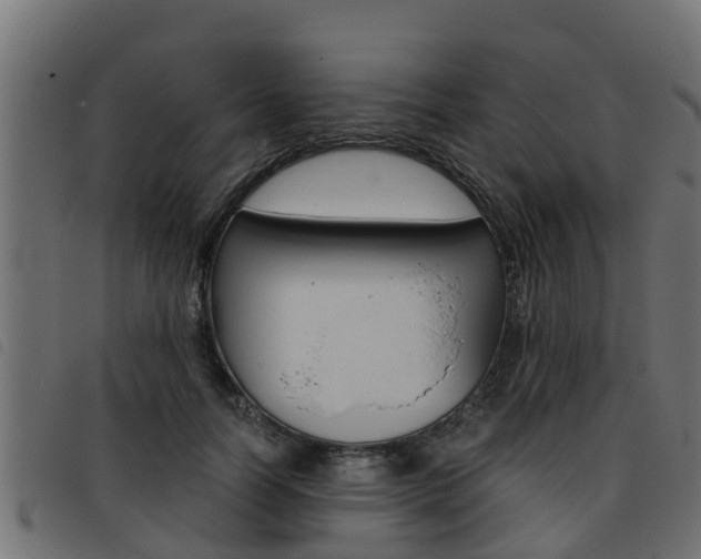 X0000093430746200710120917