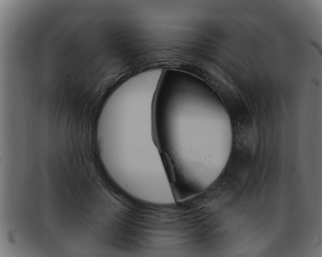 X0000093430748200710120917