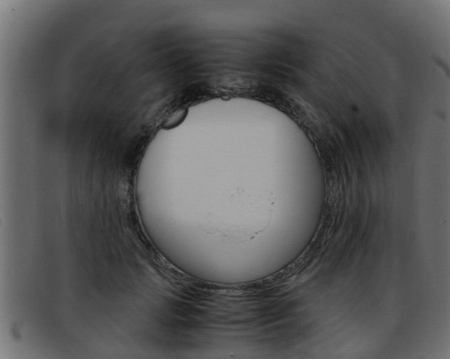 X0000093430749200710120917