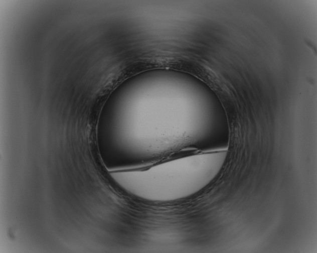 X0000093430750200710120917