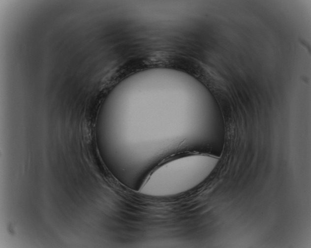 X0000093430751200710120917
