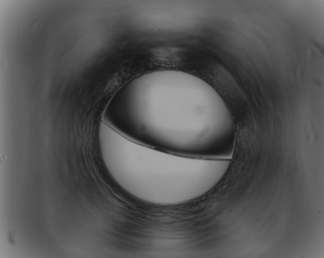 X0000093430752200710120917