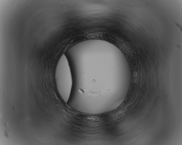 X0000093430753200710120917