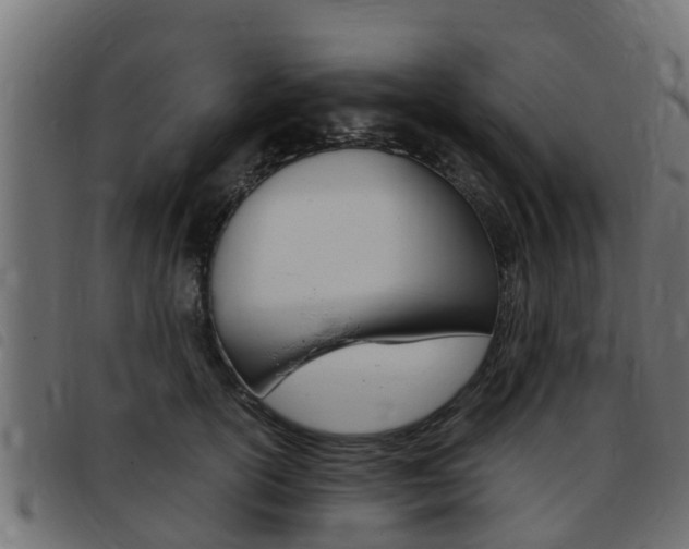 X0000093430754200710120917
