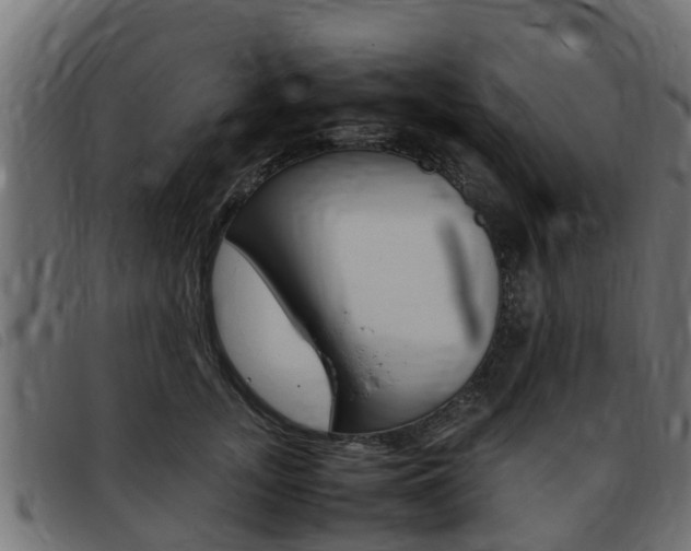 X0000093430755200710120917