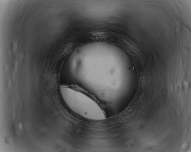 X0000093430756200710120917