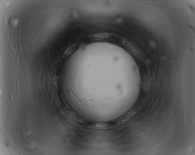 X0000093430758200710120917