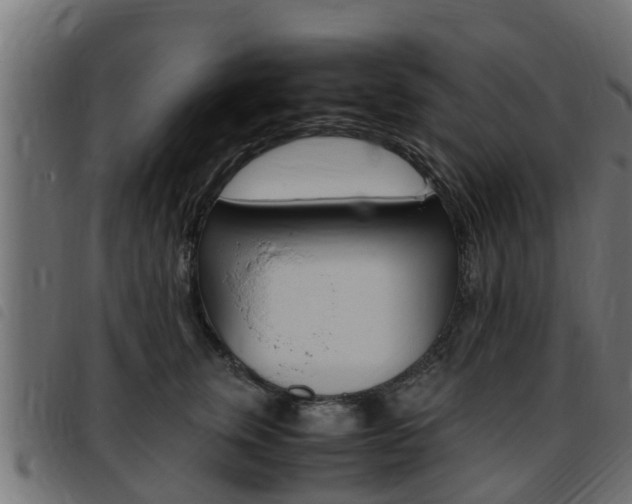 X0000093430759200710120917