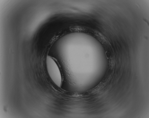 X0000093430760200710120917