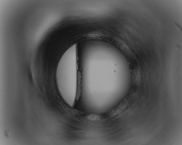X0000093430762200710120917