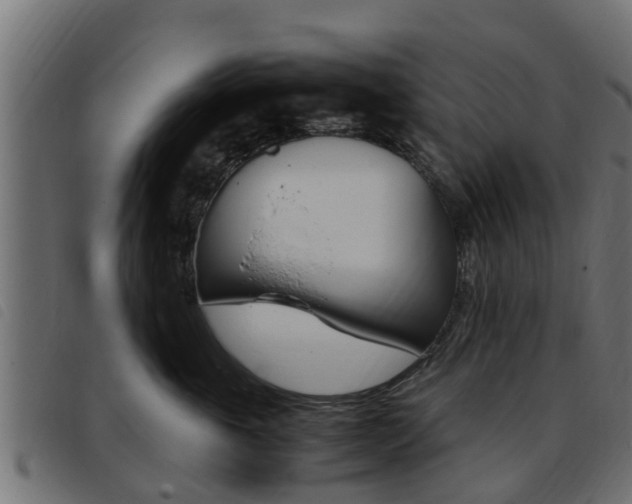X0000093430763200710120917