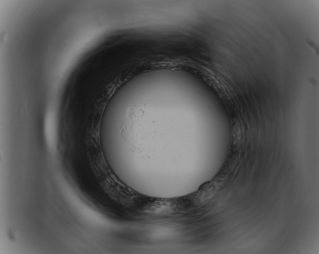 X0000093430764200710120917