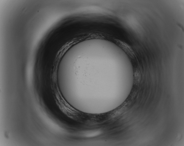 X0000093430765200710120917
