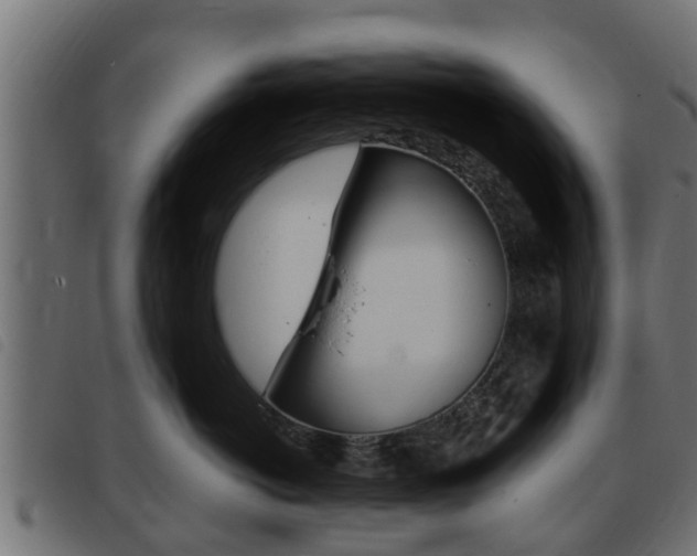 X0000093430766200710120917