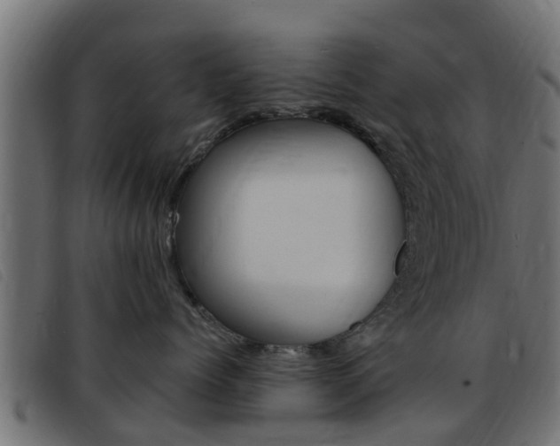 X0000093430768200710120917