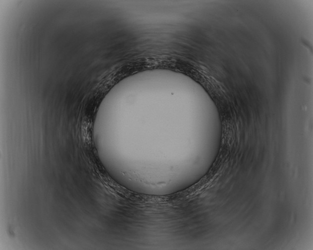 X0000093430770200710120917