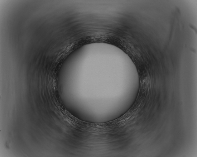 X0000093430772200710120917