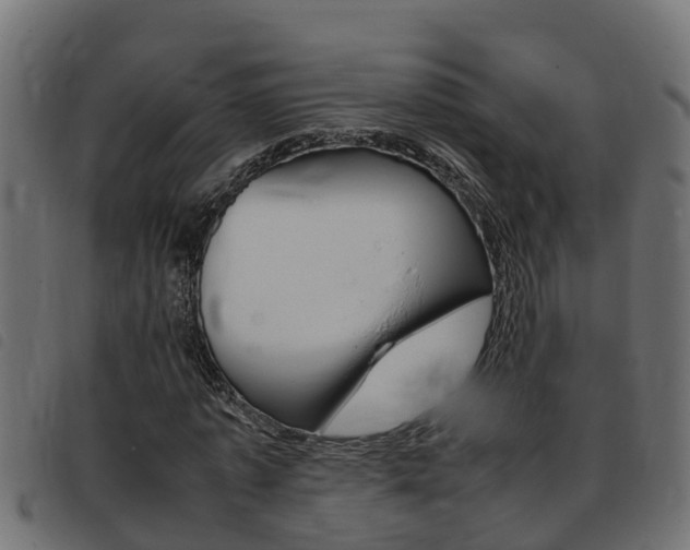 X0000093430773200710120917