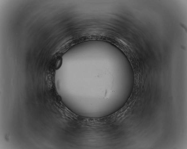 X0000093430774200710120917