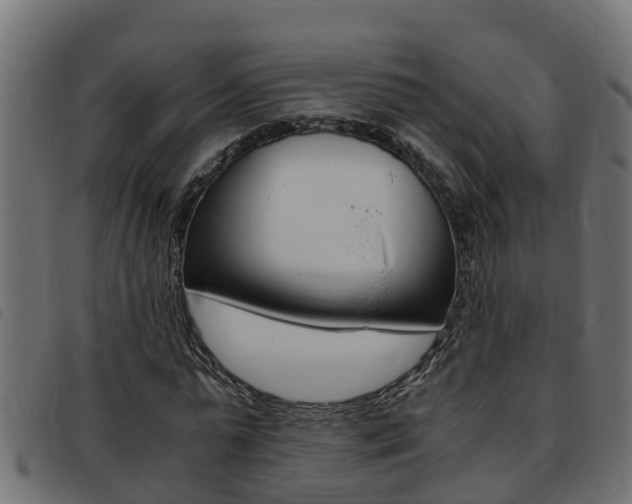 X0000093430775200710120917