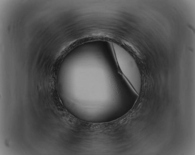 X0000093430776200710120917