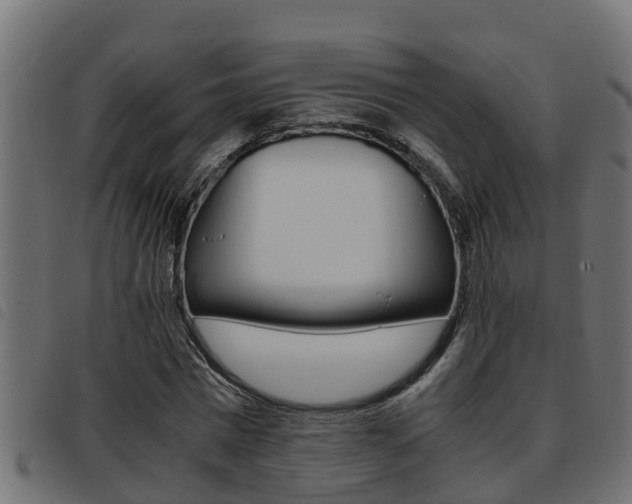 X0000093430777200710120917