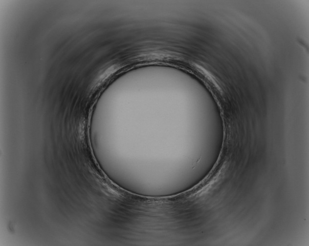 X0000093430778200710120917