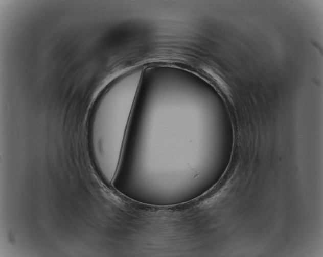 X0000093430779200710120917