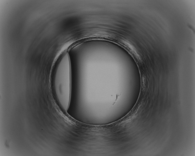 X0000093430780200710120917