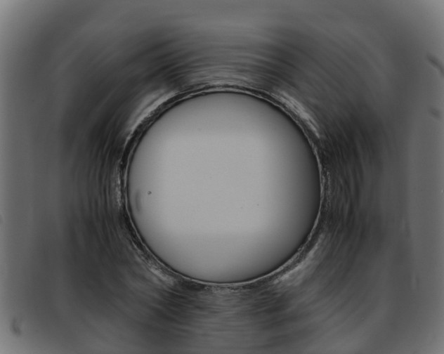 X0000093430782200710120917