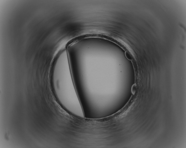 X0000093430783200710120917