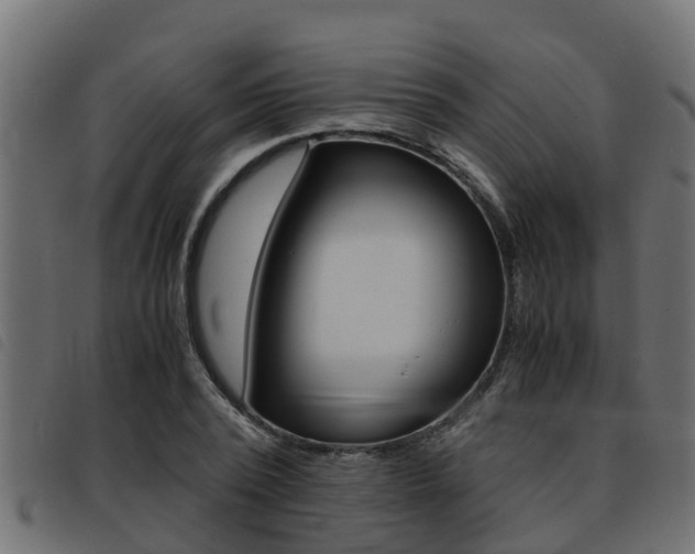 X0000093430784200710120917