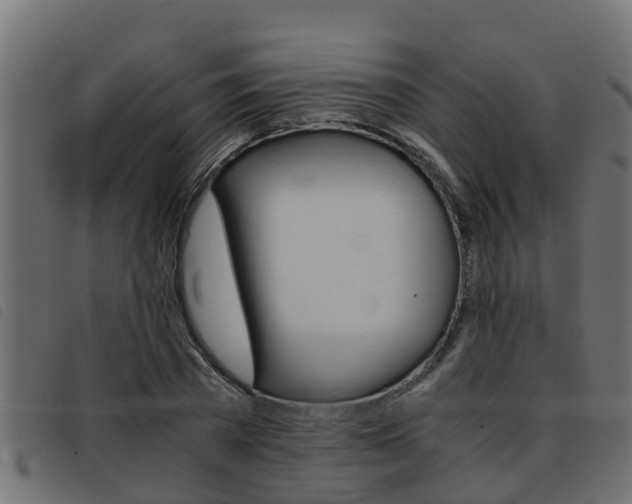 X0000093430785200710120917