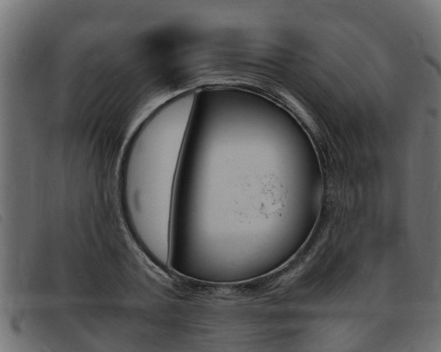 X0000093430787200710120916