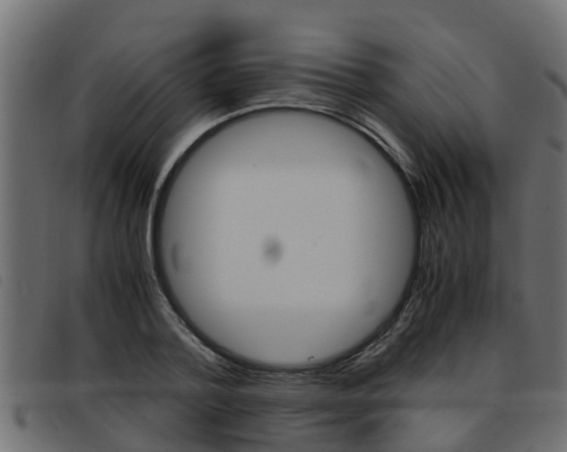 X0000093430788200710120916