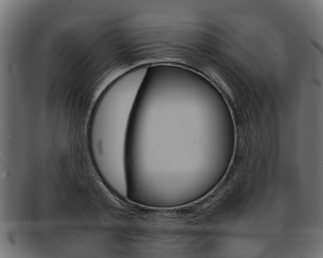 X0000093430789200710120916