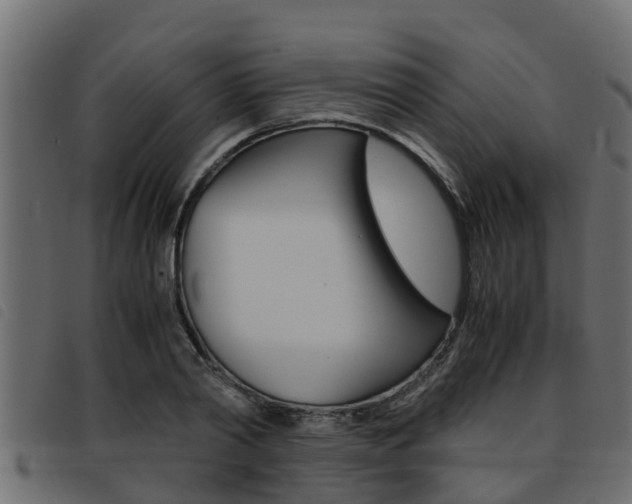 X0000093430790200710120916