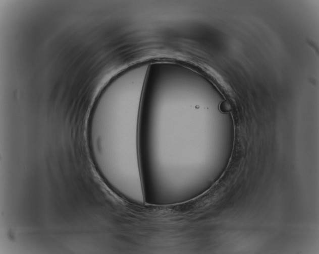 X0000093430791200710120916