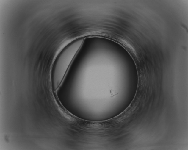 X0000093430792200710120916