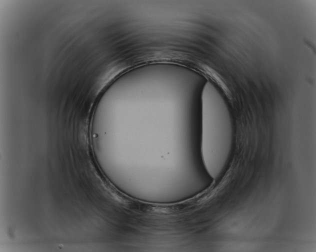 X0000093430794200710120916