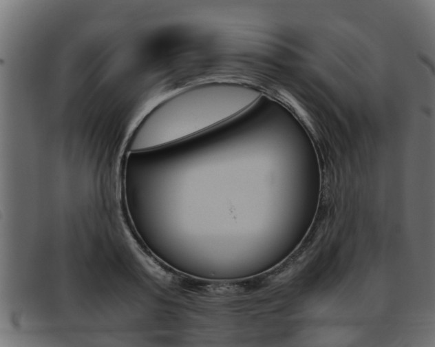 X0000093430795200710120916