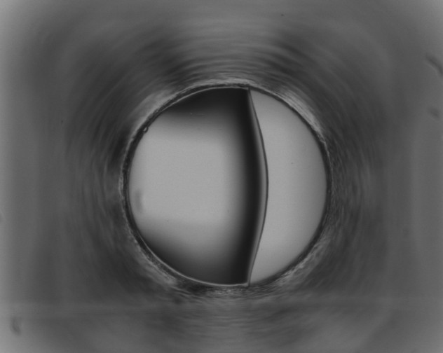 X0000093430797200710120916