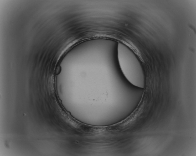 X0000093430798200710120916
