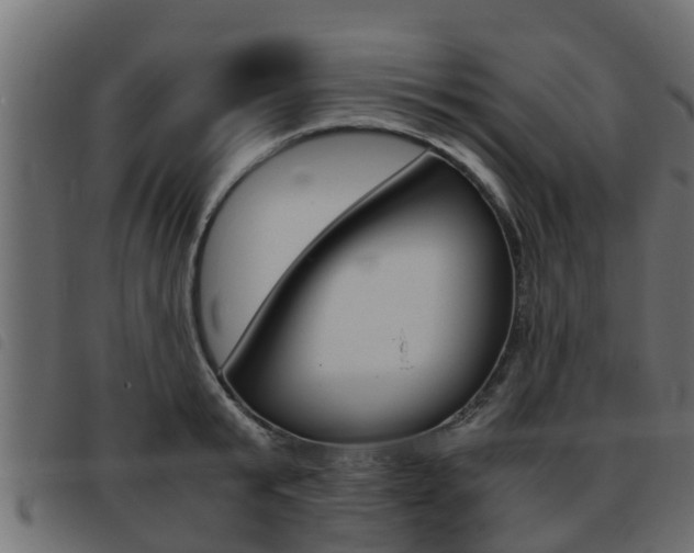 X0000093430799200710120916