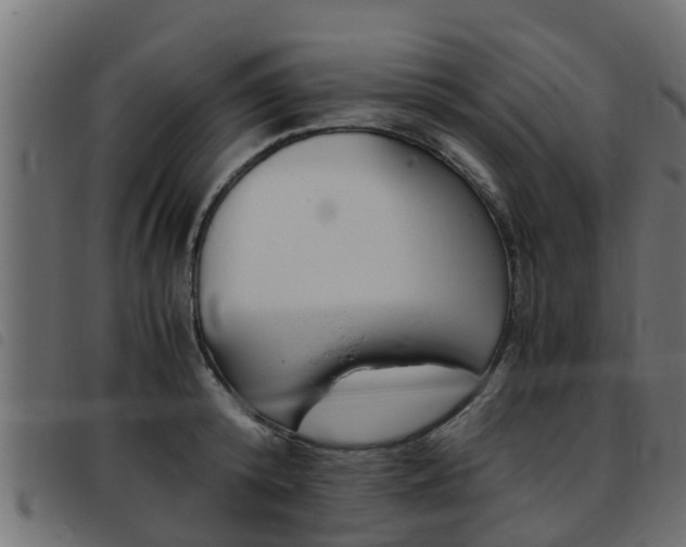 X0000093430800200710120916