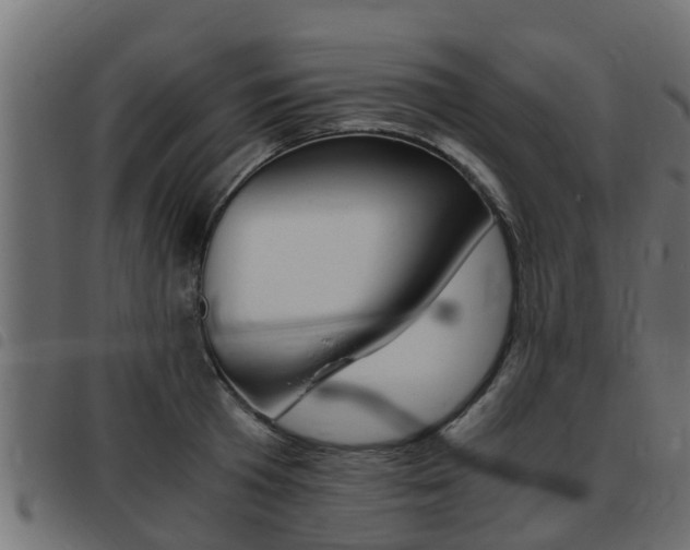 X0000093430801200710120916