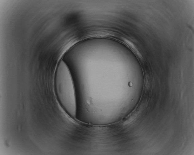X0000093430802200710120916
